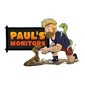 Pauls monitors