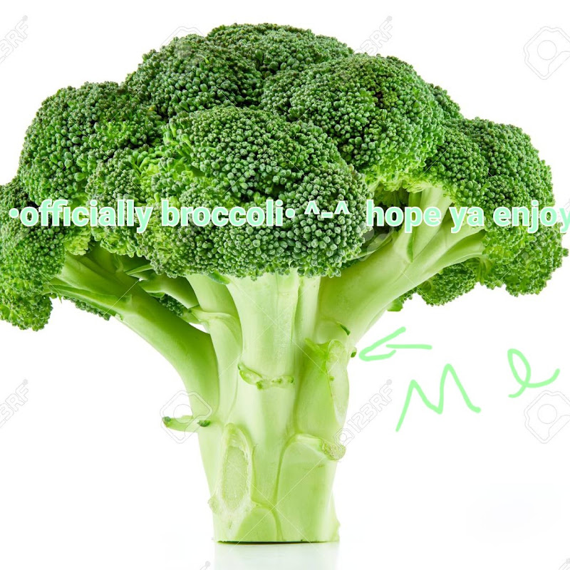 •broccoli•