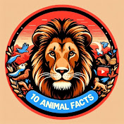 10 Animal Facts