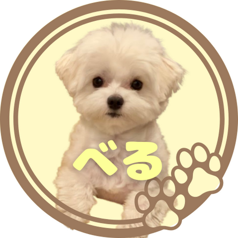 ちわまるのべるちゃん