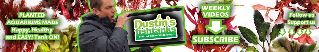Dustin's Fish Tanks यूट्यूब चैनल अवतार