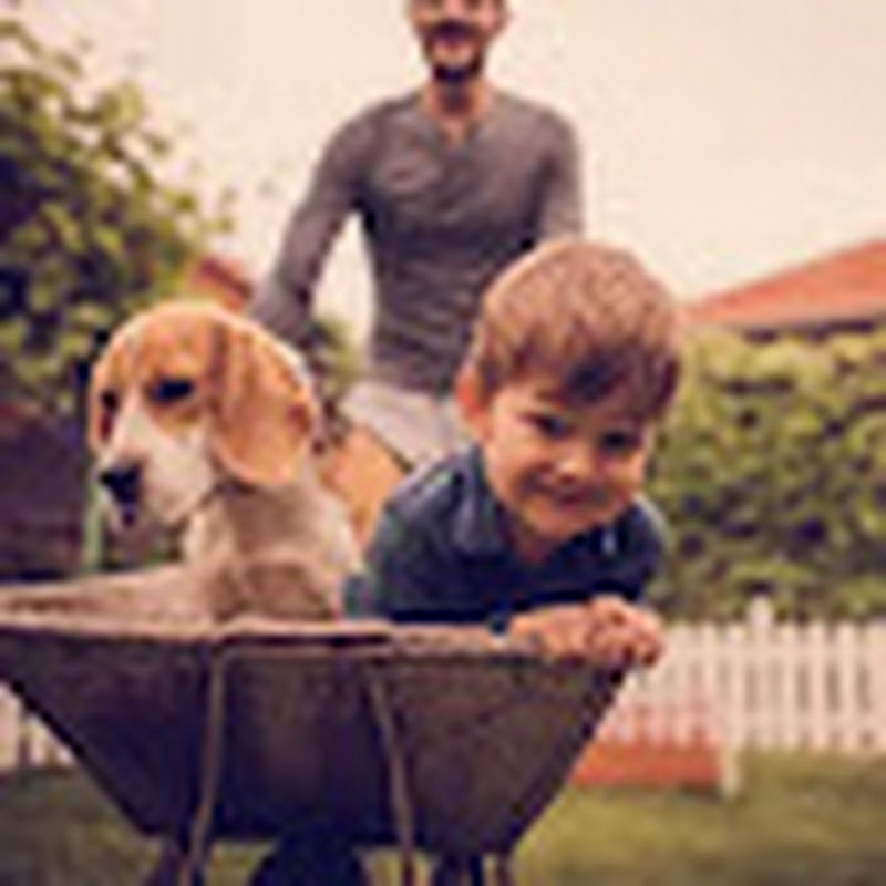 kausar Abbas official