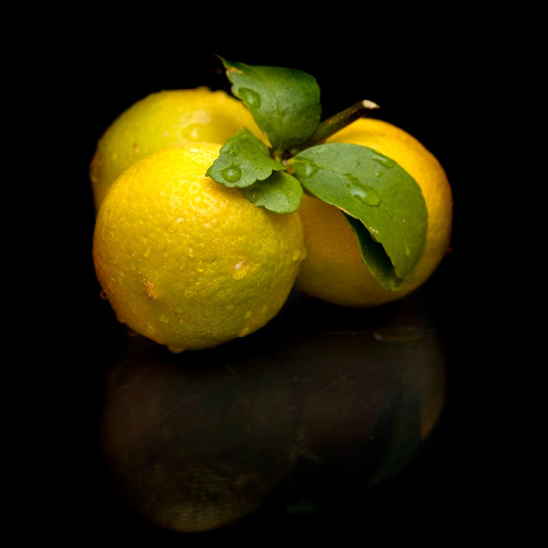 Lemon Juice avatar