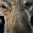 @MayMay31637 Avatar