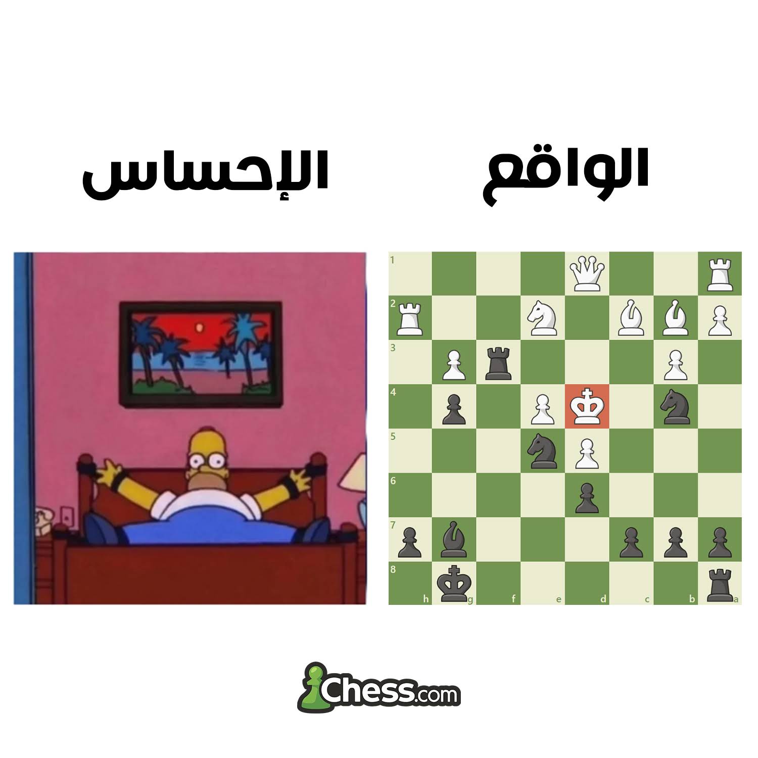 Post from Chesscom Arabic