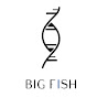 Hangzhou Bigfish logo