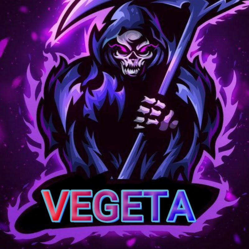 VEGETA GAMING