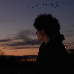 Dylaneography