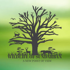 WILD LIFE OF SUNDARBAN Avatar