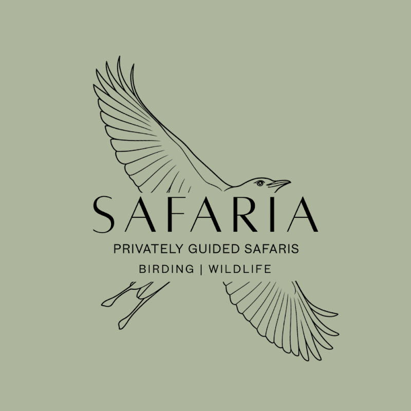 Safaria_Privately Guided Safaris channel avatar