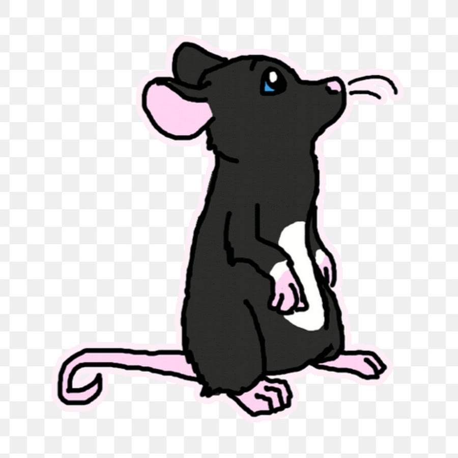 Двигающая мышь. Анимационные крысы. Анимированная крыса. Мышь анимация. Крыса мультяшная.