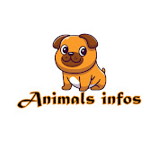 Animals Infos