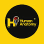Human Anatomy   logo
