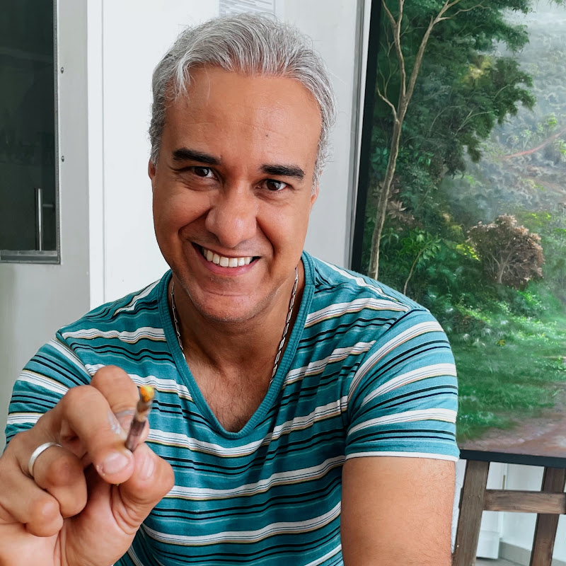 Maneco Araújo icon