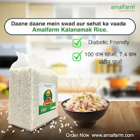 Amalfarm YouTube channel