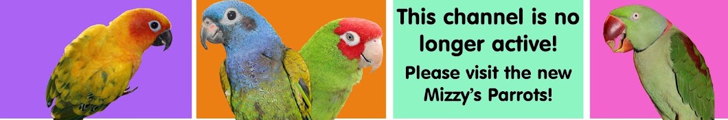 Mizzy's Parrots YouTube 频道头像