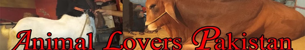 Animal Lovers Pakistan YouTube channel avatar