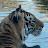 @ThePeanutGallery79 Avatar
