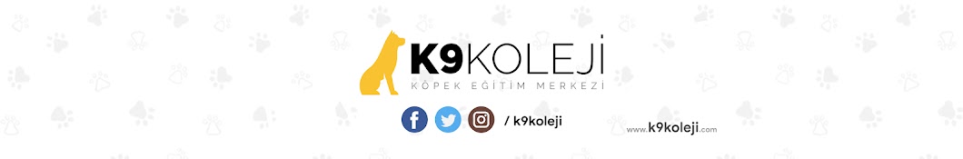 K9 Koleji YouTube channel avatar