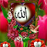 h5ga_cP9CPo-channel-avatar-Nabvi Tv