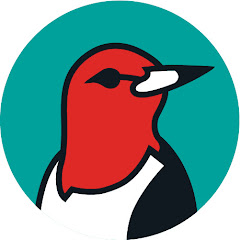 Birds Georgia Corporation