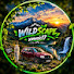 tecZBiqXDu8-channel-avatar-    WILDSCAPE🍃x music 🎵