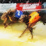 sLcH2oCGJGU-channel-avatar-Greyhound Racing Archive