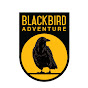 Blackbird Adventure logo