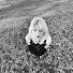 AtY67CGaV_Y-channel-avatar-Zoey The Buttons