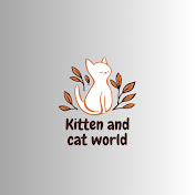 Kitten and cat world