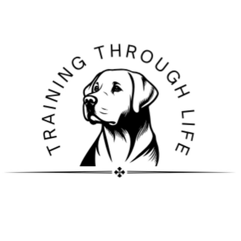 Training Through Life icon