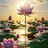 @Bhramavidya