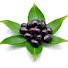 mw4vEAI2DCM-channel-avatar-কালাজাম