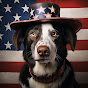 USA Dog Tales logo