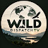 zQvstqxErXs-channel-avatar-Wild Dispatch TV