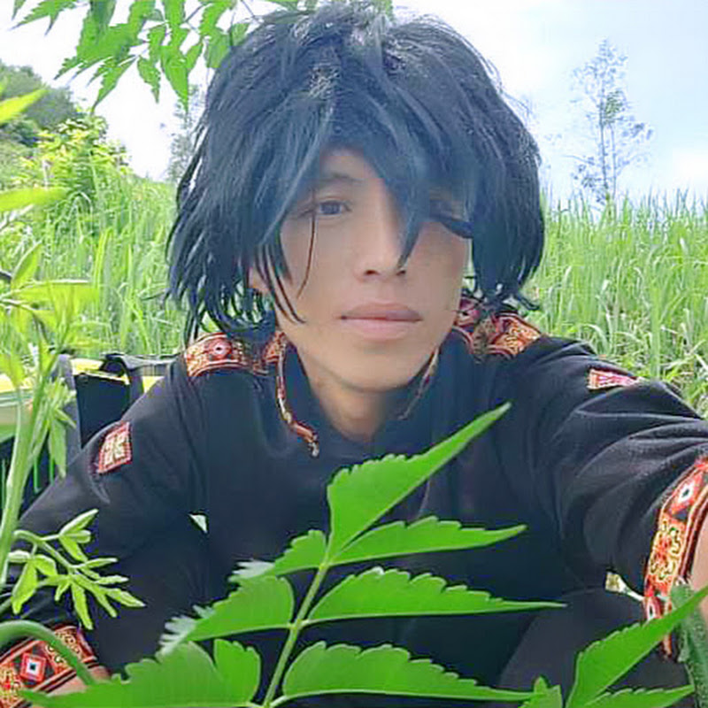 Minh - Wild Survival