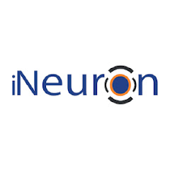 iNeuron Intelligence net worth