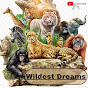 wildest dreams logo