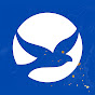 Comunidade Católica Shalom channel logo