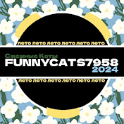 My FUNNY CATS 2024