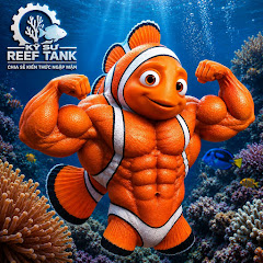 Kỹ Sư Reef Tank