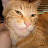 @CatEntusiastDave