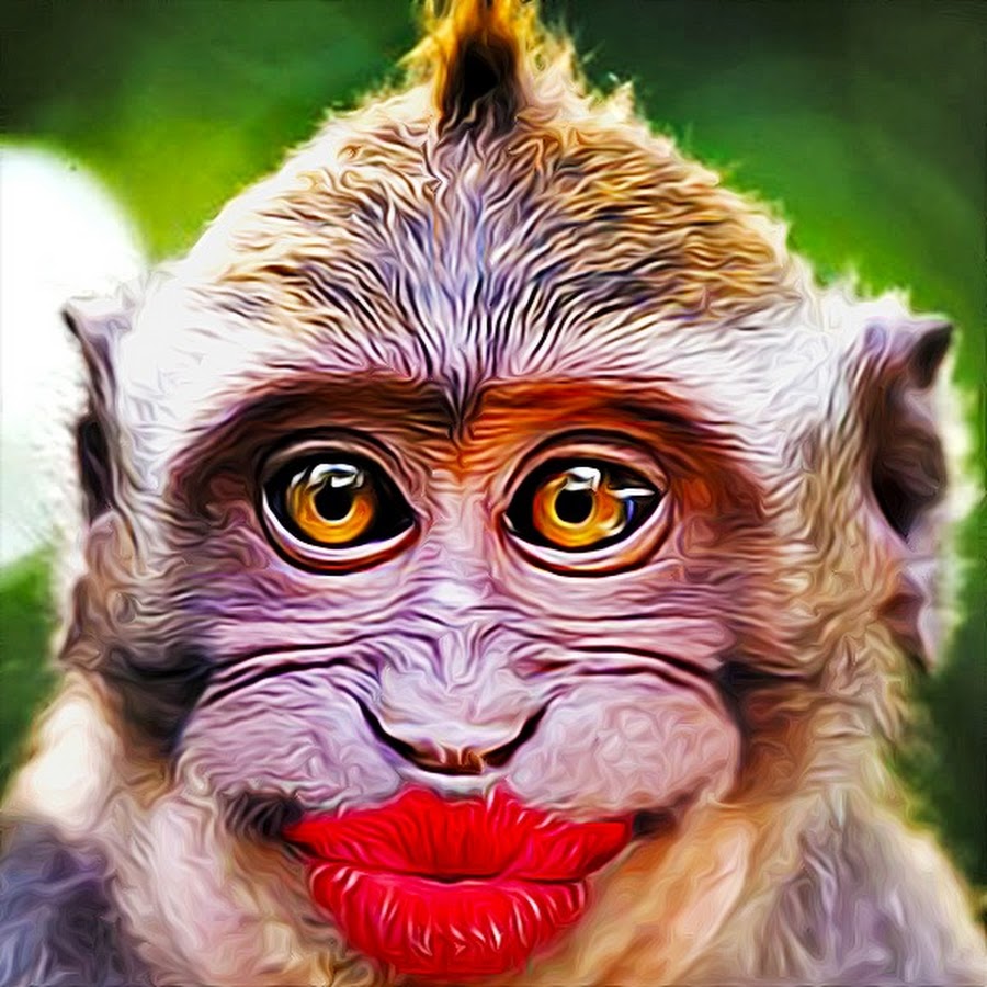 Приколы про обезьян. Обезьяна красотка. Смешные шутки про обезьян. Смешные обезьяны с фразами. Шутки про красавиц.