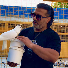 نسل آریا