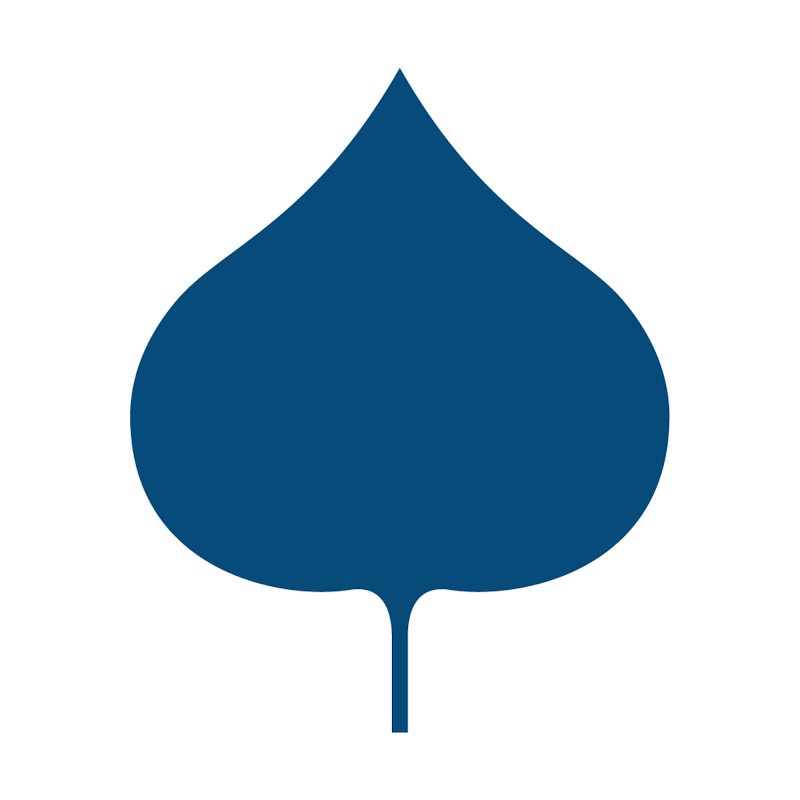 The Aspen Institute