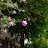 @사라-o7l