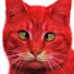 i6Cus2dcFl8-channel-avatar-Pet RED