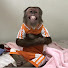 H9uWDAnwPQk-channel-avatar-CuTiss Home