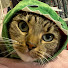 06aD8AymQcs-channel-avatar-Emily Parker