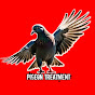 PIGEONS TREATMENT